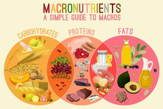 Macronutrients