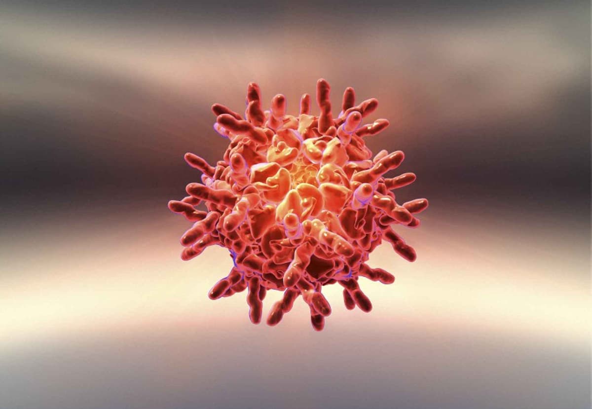 Virus
