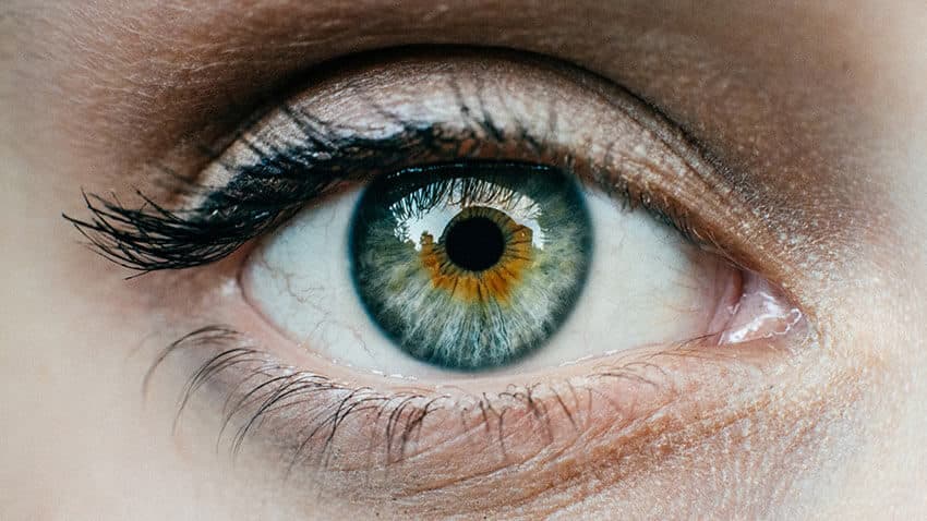 Eyes