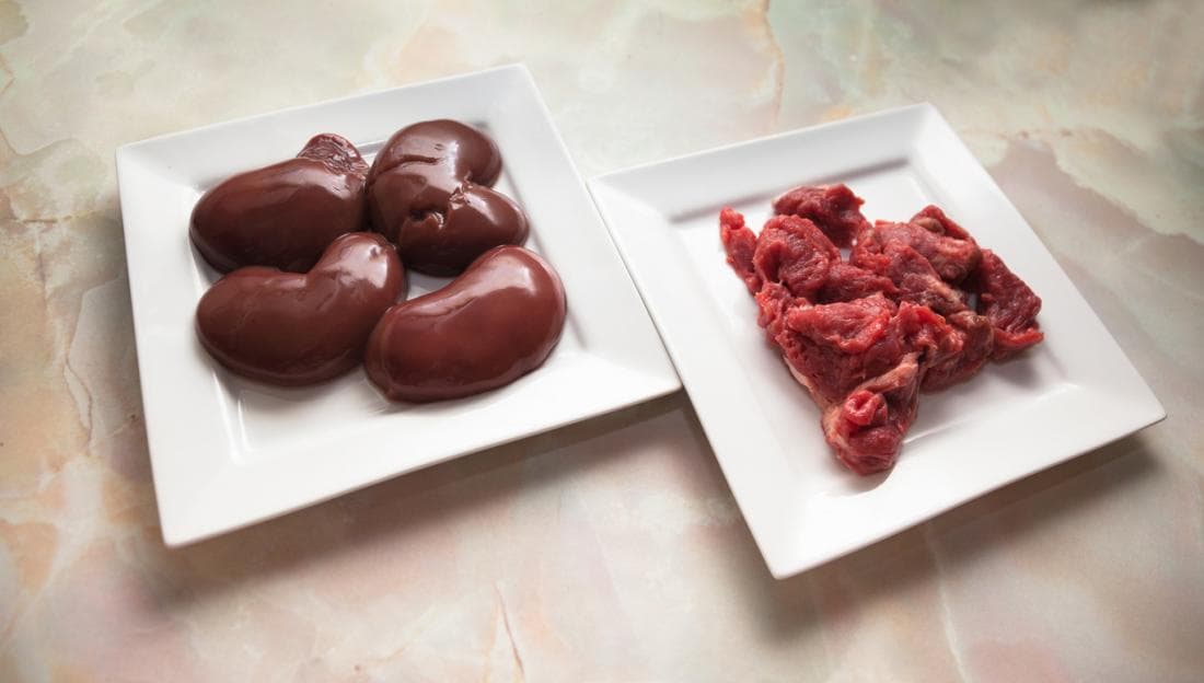 Organs and Glands